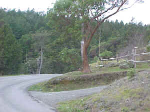  Entrance to Maggie's Manor from Channel Road