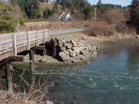 Deer Harbor bridge replacement is key to salmon restoration in Deer Harbor